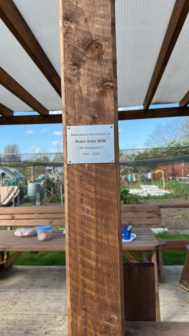 Shepperton Allotment for Robin